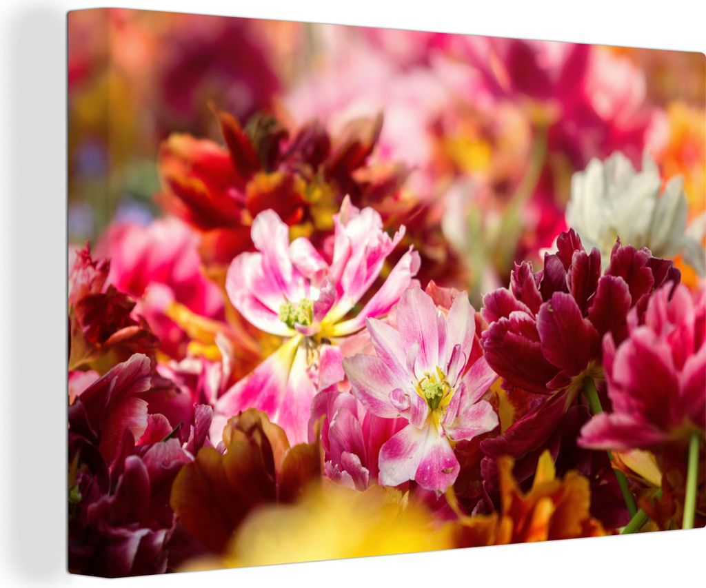 MuchoWow - Leinwandbilder - Mehrfarbige Tulpen, Wandbild, Wanddeko Bilder Wohnzimmer, 60x40 cm