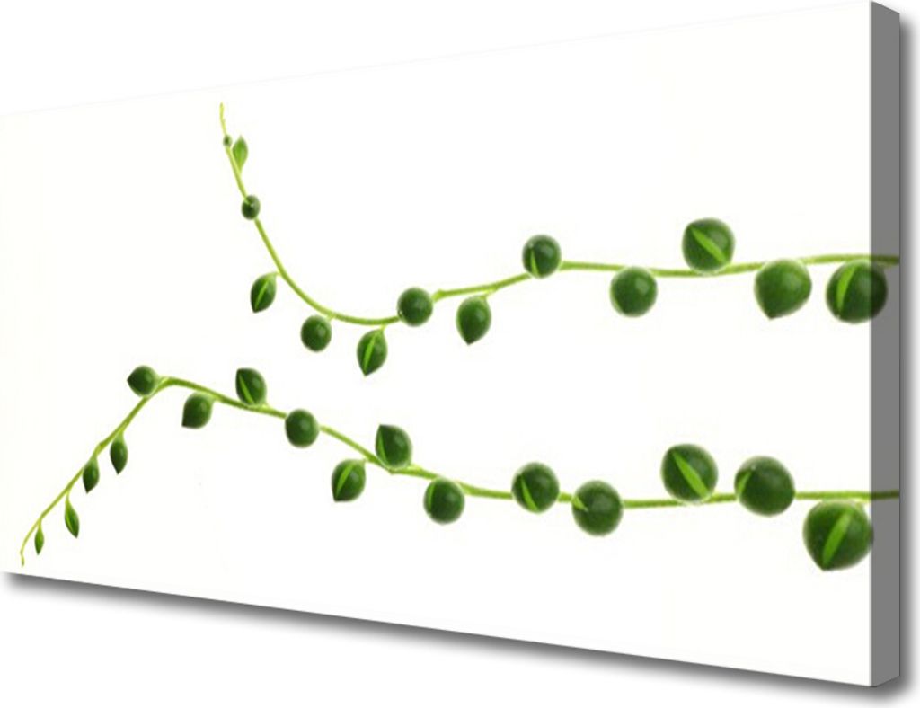 Tulup Leinwand-Bilder 100x50 Wandbild Canvas Kunstdruck Zierpflanze Pflanzen