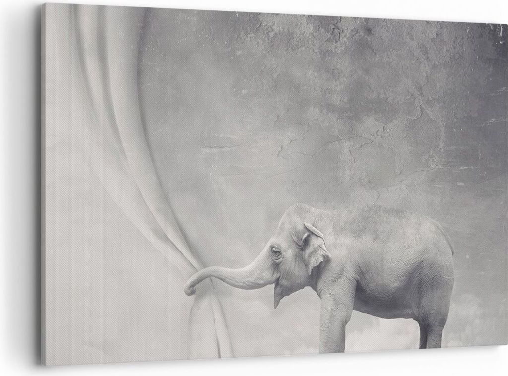 Bild auf Leinwand - Leinwandbild - Elefant Vorhang Abstraktion Phantasie - 120x80cm - Wand Bild - Wanddeko - Leinwanddruck - Bilder - Kunstdruck - ...