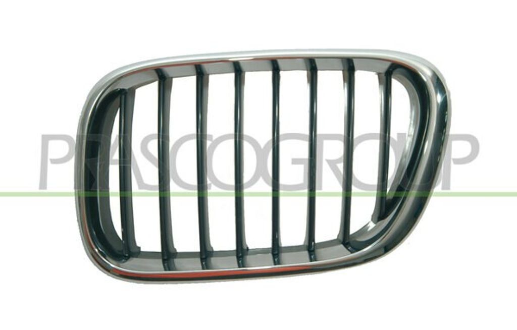 PRASCO BM8202004 Kühlergrill Frontgrill für BMW X5 (E53) Links Titan Chrom Schwarz