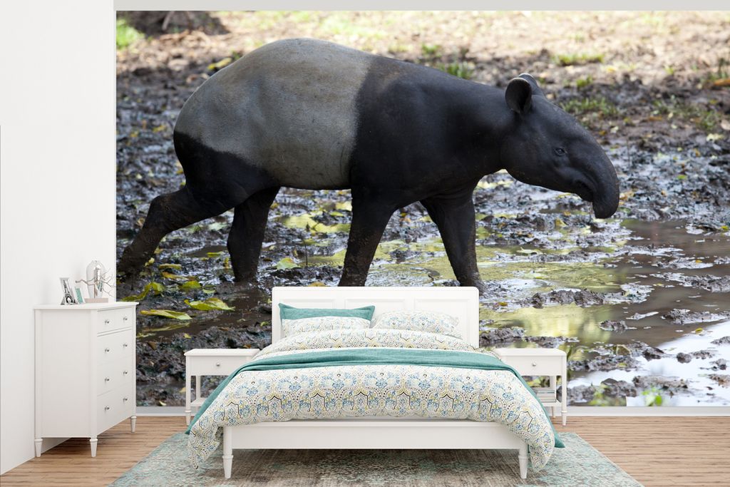 MuchoWow Fototapete für Wohnzimmer oder Schlafzimmer Wandtapete Vinyl Motivtapete Dunkler Tapir im Schlamm - 345x220 cm - Wohnzimmertapete