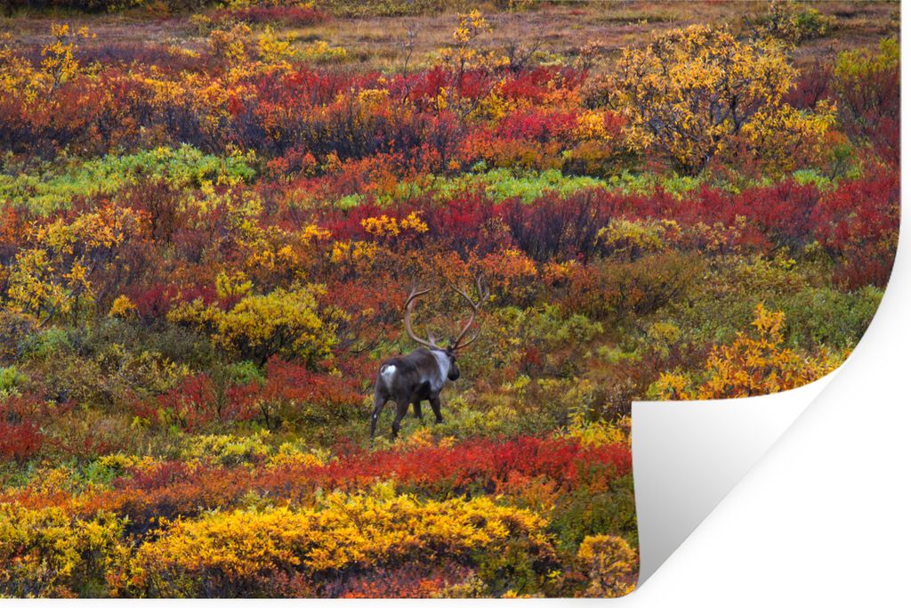 MuchoWow - Wierderverwendbar - Selbstklebend