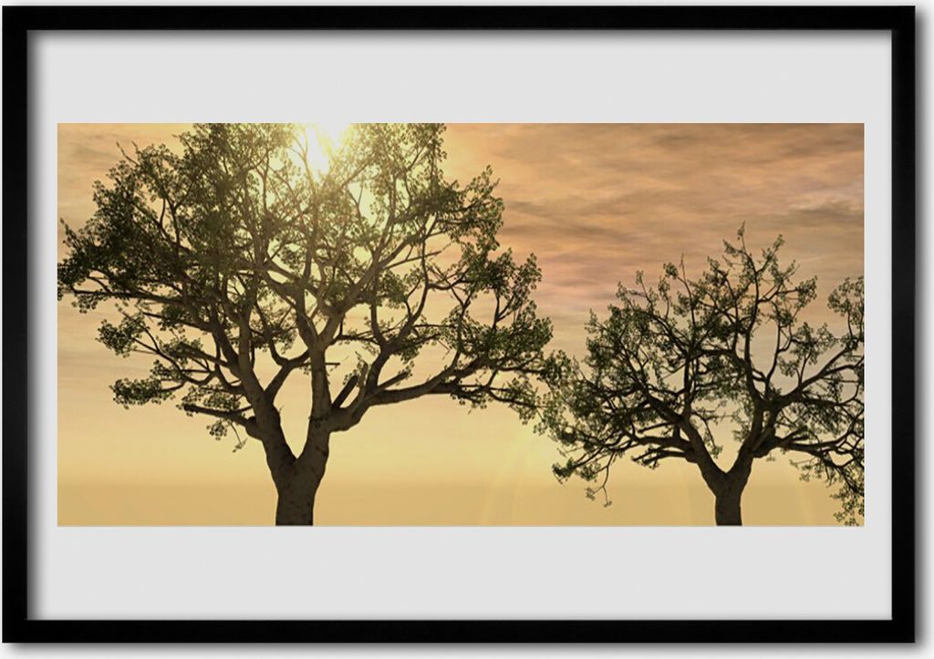 Bild 70x50 MDF-Rahmen Wandkunst Bäume Natur