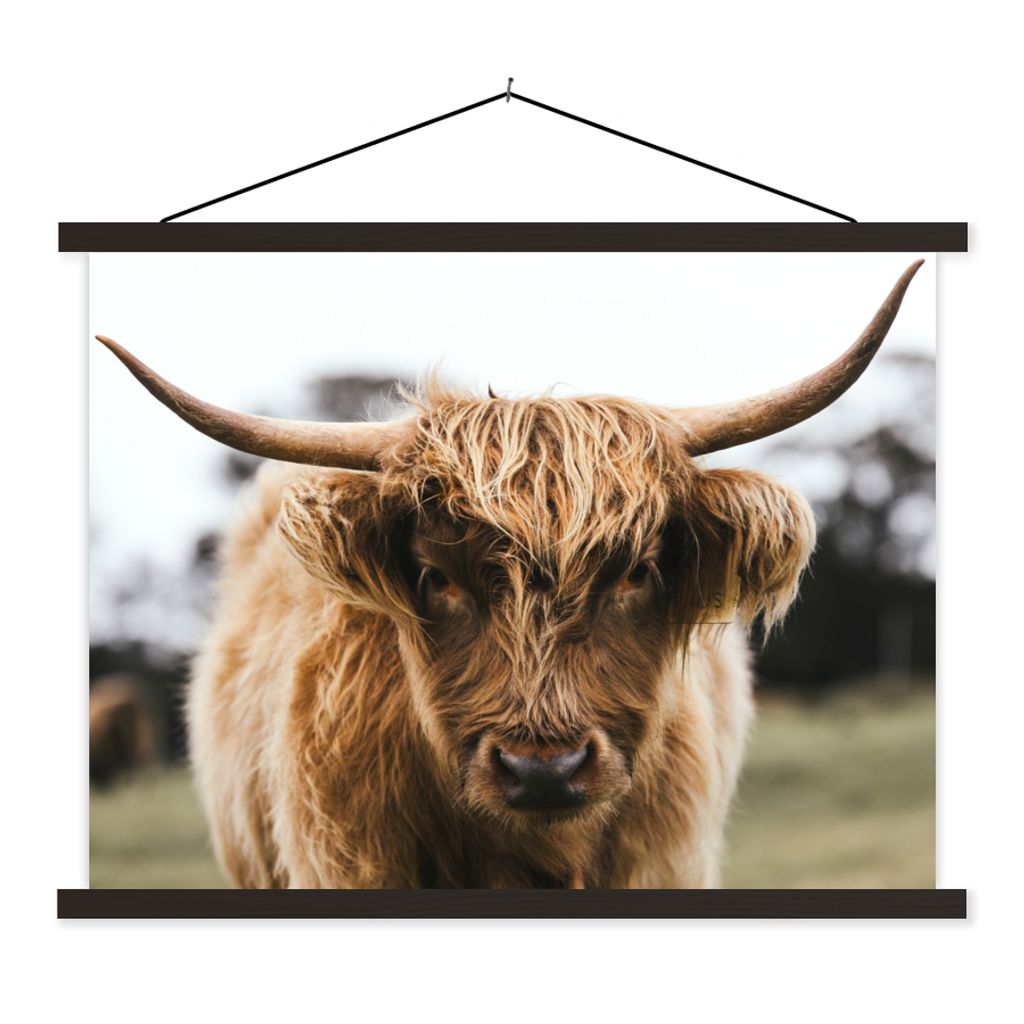 MuchoWow Textilposter Schottischer Highlander - Kuh - Gras - Tiere - Natur 150x113 cm mit holzfarbenen Rahmen - Poster