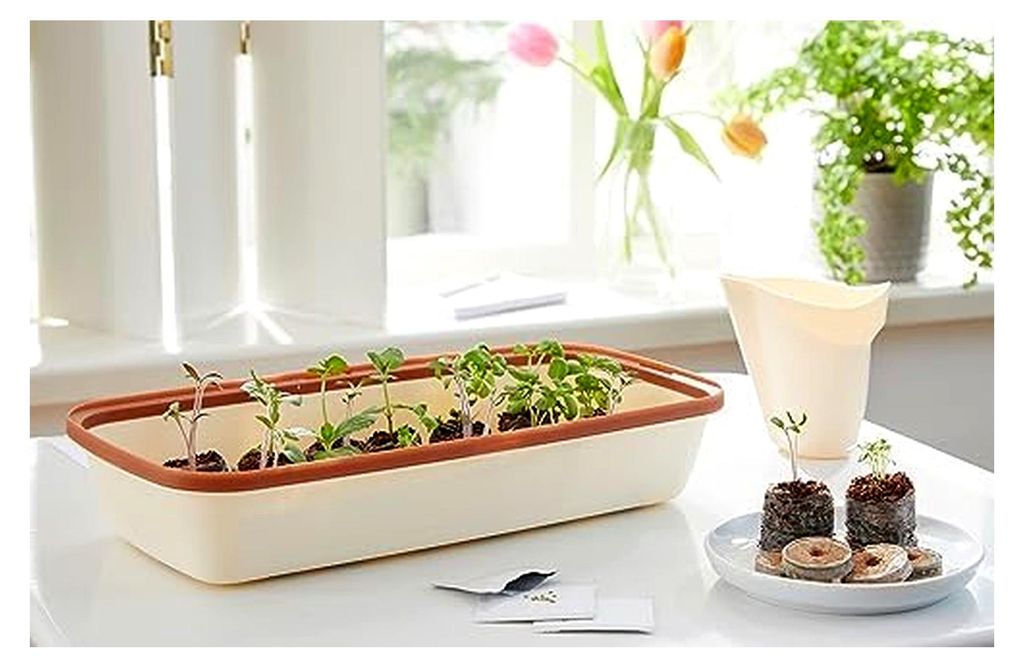 FLORTUS Set Zimmergewächshaus BoQube M Kupfer & Kokos Quelltöpfe (24 STK) | Gewächshaus & Quelltabletten aus Kokoserde Anzuchterde | Geschenkset