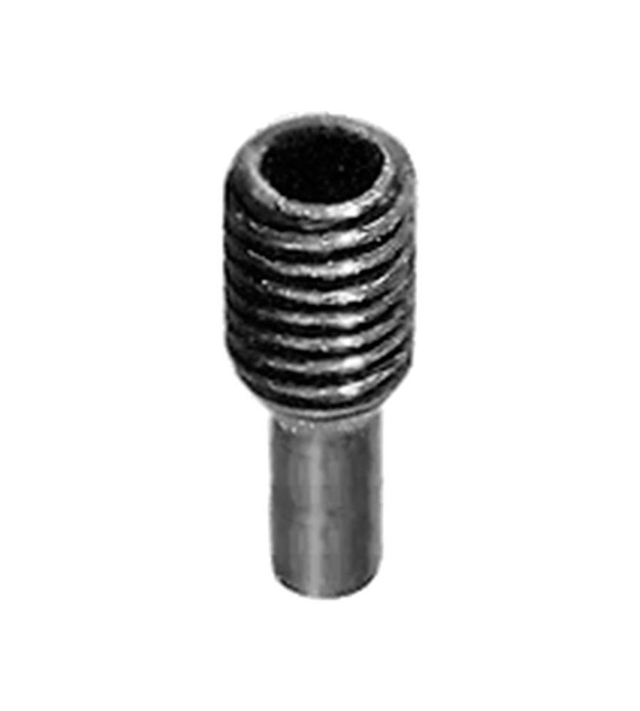 FSB Gewindestift 05 0402 mit Zapfen, M 6 x 9 mm, Edelstahl