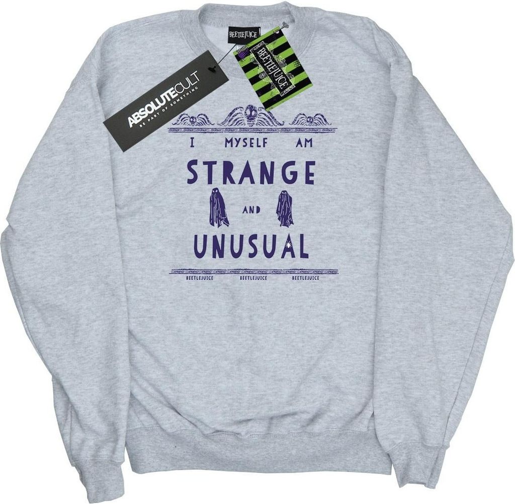 Beetlejuice - Mikina pro muže BI13753 (3XL) (šedá) Obrázek produktu 