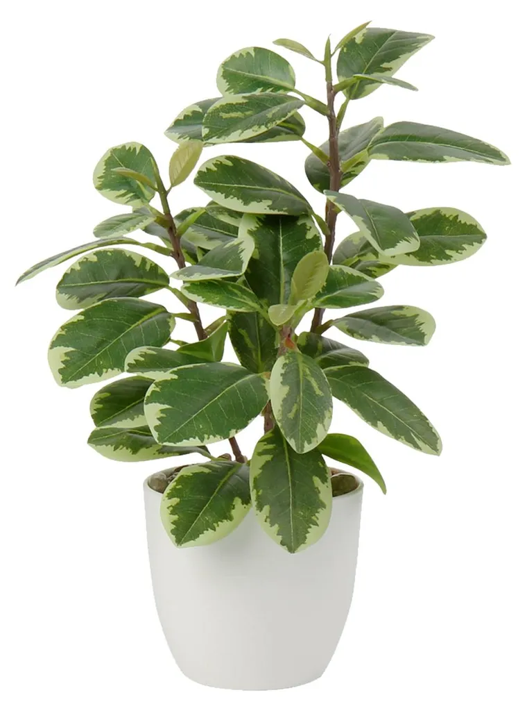 Plante artificielle en pot sans entretien - Camélia pour intérieur