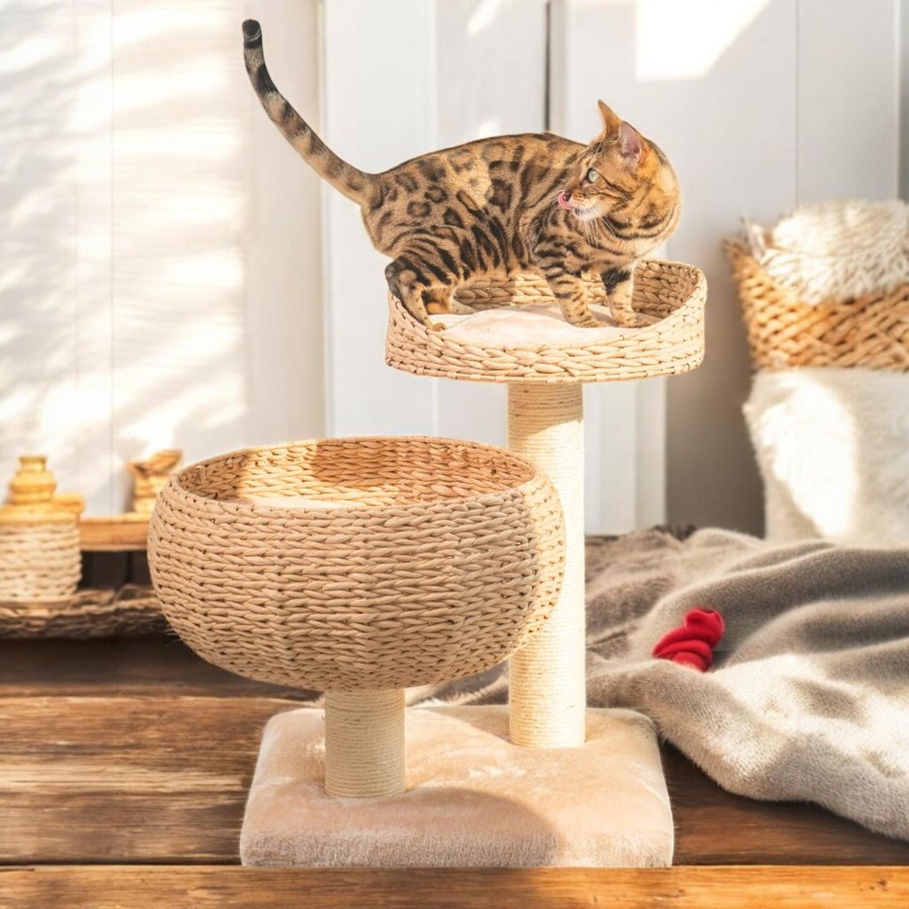 Kratzbaum Banana Leaf mit Natur-Sisal - Kletterbaum für Katzen, Sisalsäule mit 8 cm Durchmesser, Höhe 55 cm, Beige