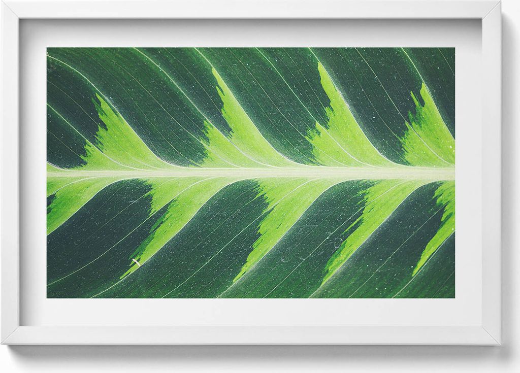 Textur und Adern eines Blattes– Wandbild mit Rahmen – Gerahmtes Bild – Wanddekoration – 60x40 cm – Schwarz Rahmen