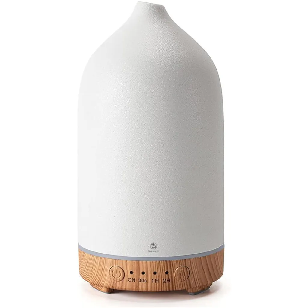 Purificateur et Diffuseur d'Air : Finissez-en avec l'Air Sec à la Maison