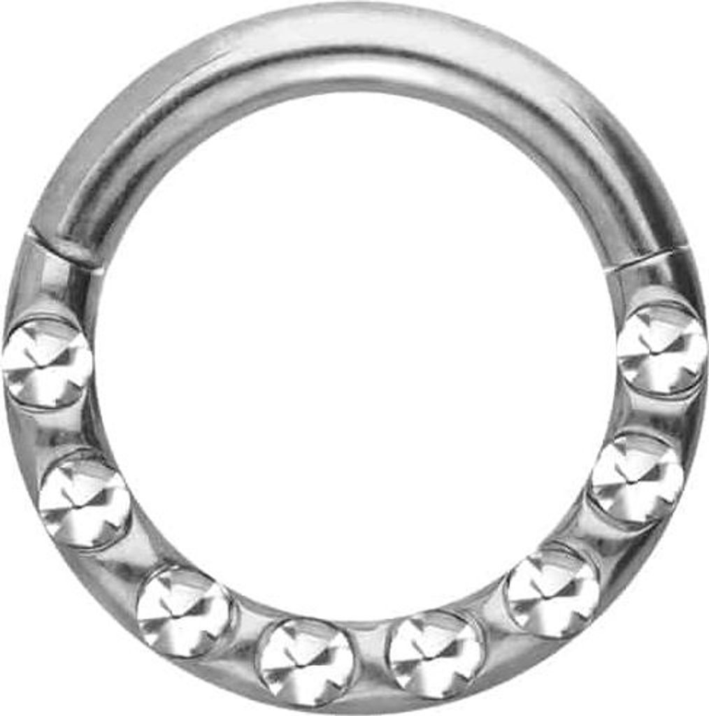 Ohrpiercing, Nasenpiercing, Septum Piercing Chirurgenstahl Segmentring Clicker KRISTALLE + EPOXY Silber Innendurchmesser: 6 mm