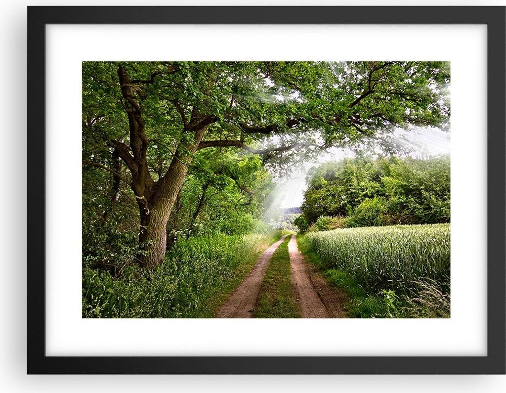 Gerahmtes Poster - Schwarzer Rahmen - Pfad Natur Wald Grün - 40x30 cm - Wand Bild - Wanddeko - Wandbilder - Kunstposter - Wandposter - Bilderrahme...