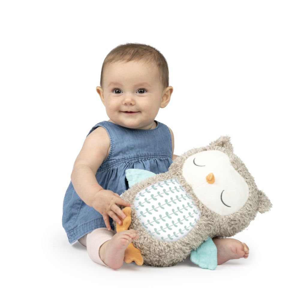 Ingenuity Snuggle Sounds Nally beruhigendes Plüschtier Produktbild 