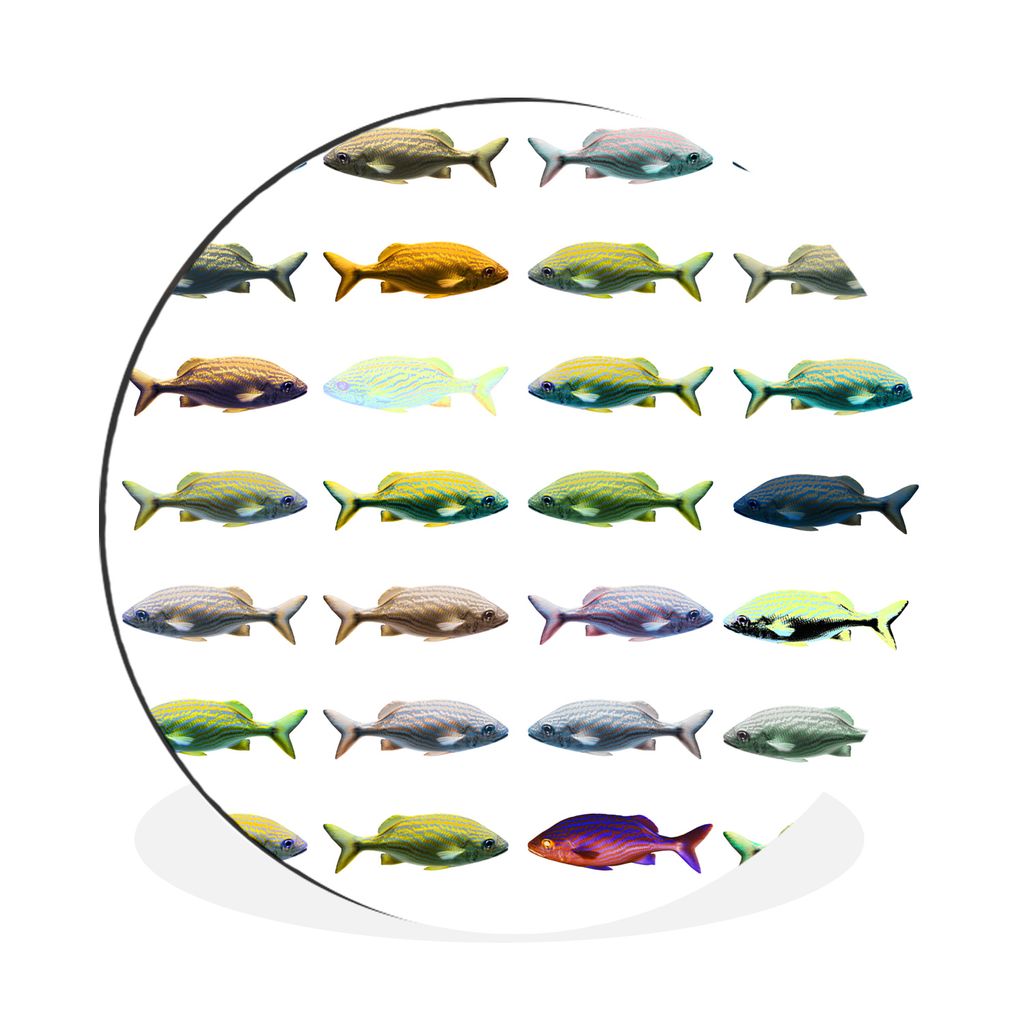 MuchoWow Aluminium Wandkreis Fische - Tiere - Muster Ø 60 cm Wanddeko Modern Wohnzimmer - Wand Kreis - Wandbild - Schlafzimmer - Aluminium Bild ...