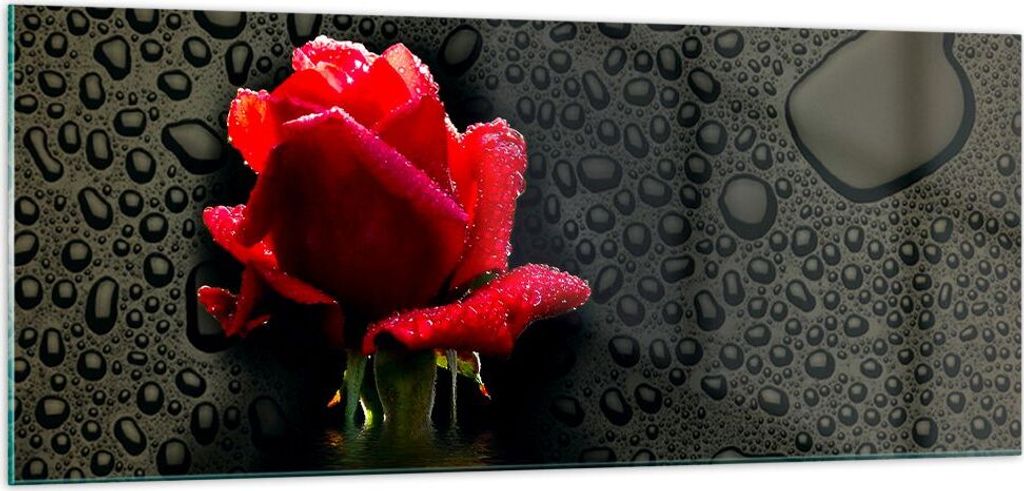 Bilder auf glas - Blume rote rose wasser tau - 100x40cm - Glasbilder - Wandbilder - Kunstdruck - zum Aufhängen bereit - Wanddekoration aus Glas - ...