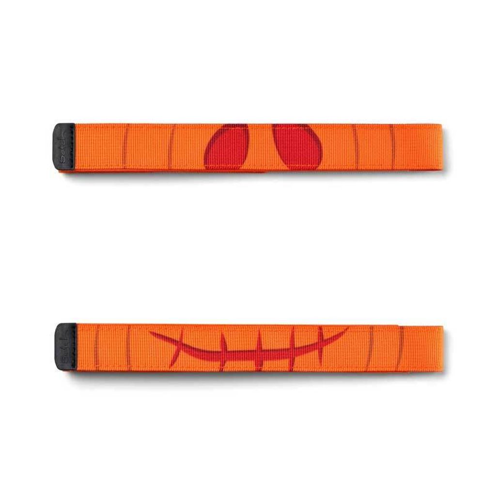 Satch Swap Spicy Pumpkin Produktbild 