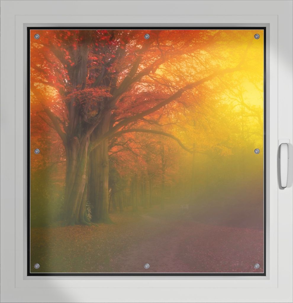 Wallario Lichtschutzbild, Dekorativer Sichtschutz Sonnenschutz 96 x 93 cm mit Motiv: Bunter Herbst - Waldlandschaft bei Nebel in Regenbogenfarben -...