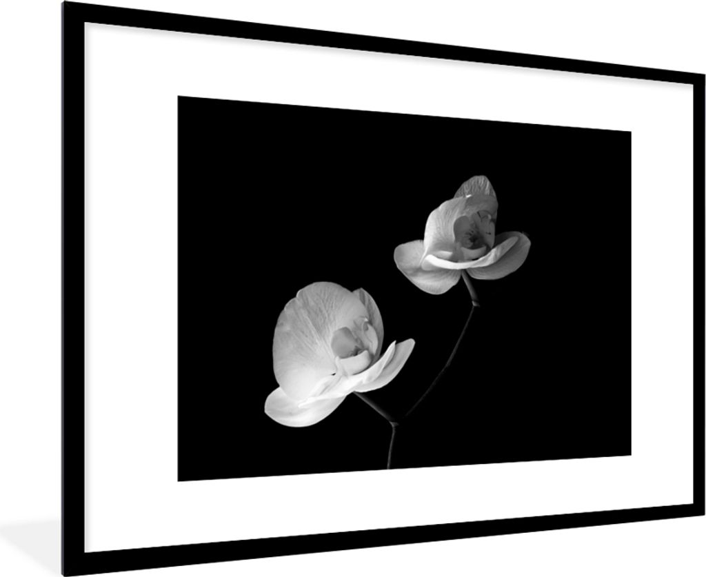MuchoWow Gerahmtes Poster Orchidee - Blumen - Schwarz - Weiß - Stilleben 90x60 cm - Poster mit Schwarzem Bilderrahmen Wandposter Rahmen Foto Bilder