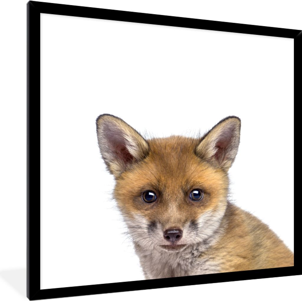 MuchoWow Gerahmtes Poster Tiere - Jungen - Wald - Weiß - Kinder 40x40 cm - Poster mit Schwarzem Bilderrahmen Wandposter Rahmen Foto Bilder - Mit...