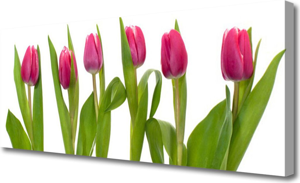 Tulup Leinwand-Bilder 125x50 Wandbild Canvas Kunstdruck Tulpen Pflanzen