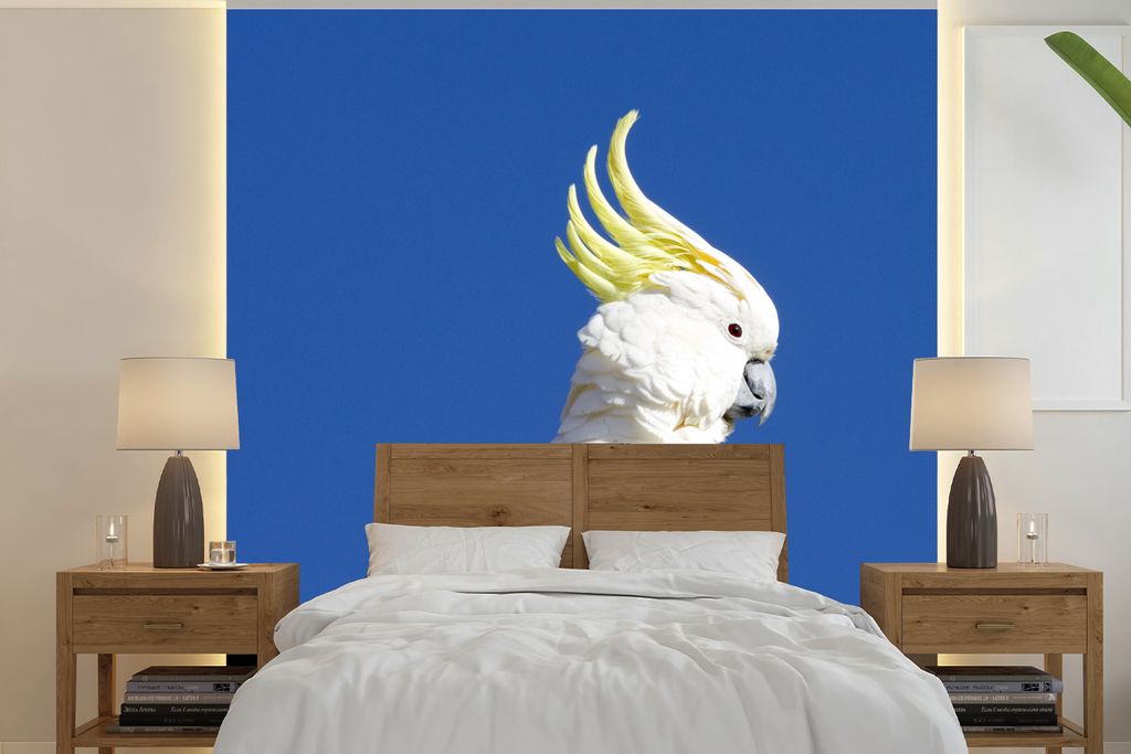 MuchoWow Fototapete für Wohnzimmer oder Schlafzimmer Wandtapete Vinyl Motivtapete Weißer Kakadu mit gelbem Kamm vor blauem Himmel - 240x240 cm ...