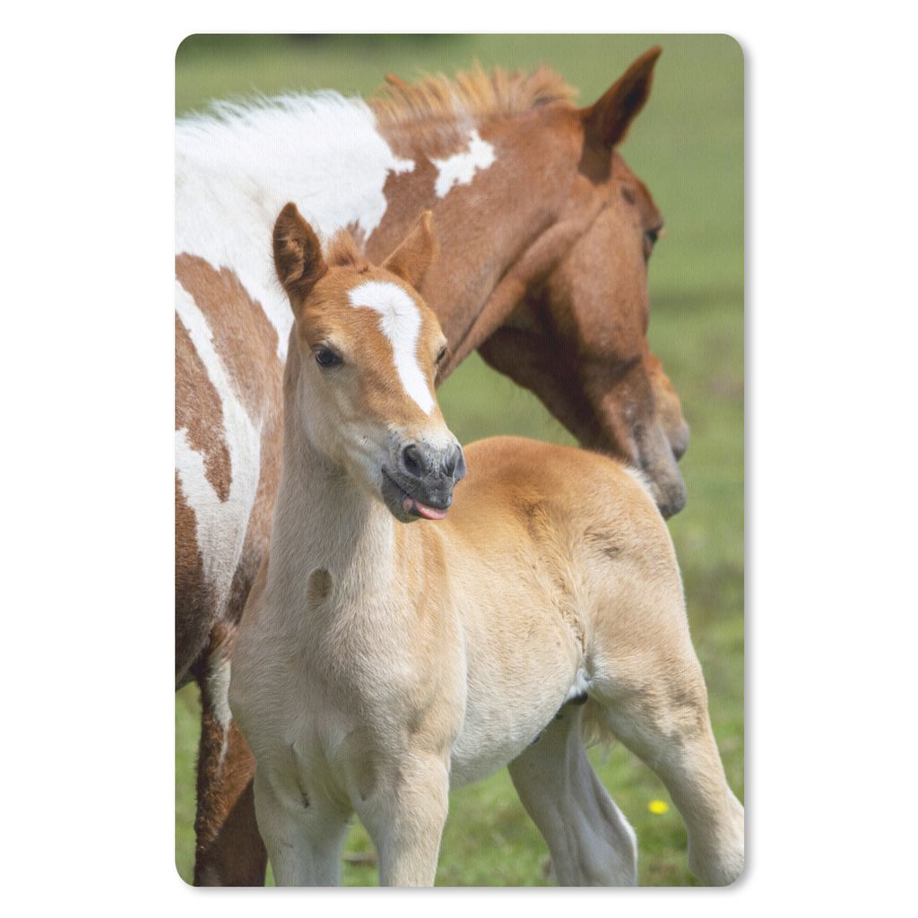 MuchoWow Mauspad Mousepad Pferde - Fohlen - Gras 18x27 cm - Mousepads - Maus Mat - Pad - Mausunterlage