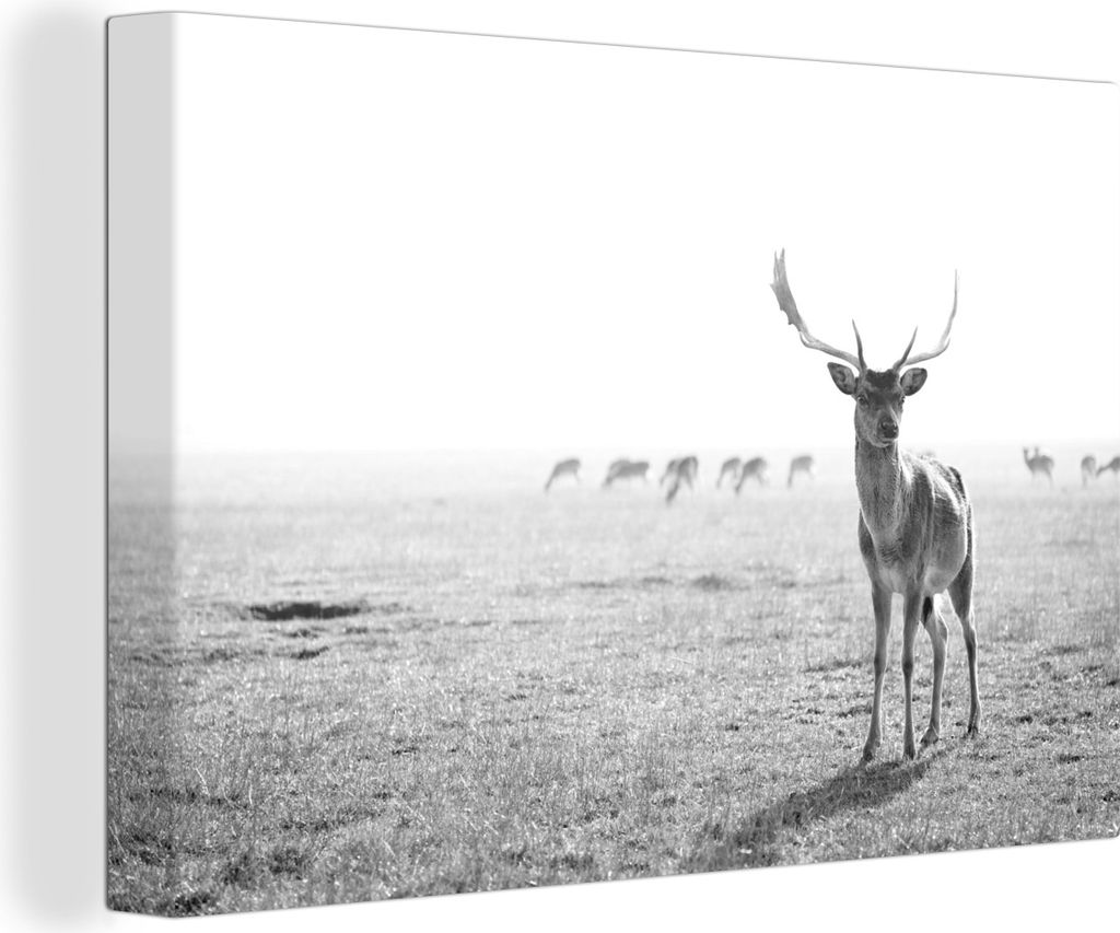OneMillionCanvasses - Leinwandbilder - 150x100 cm, Hirsch mit großem Geweih vor einer Herde - schwarz und weiß, Wandbilder Kunstdruck Wanddekor...