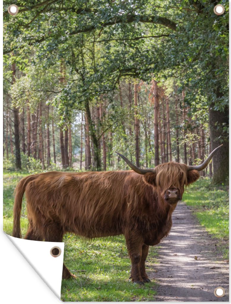 MuchoWow 30x40 cm Outdoor-Poster Gartendeko Sichtschutz Garten Poster für den Garten Schottischer Highlander - Kröte - Baum