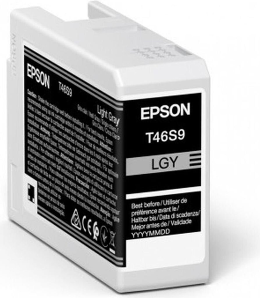Epson UltraChrome Pro T46S9 - 25 ml - Grigio chiaro - Immagine del prodotto 
