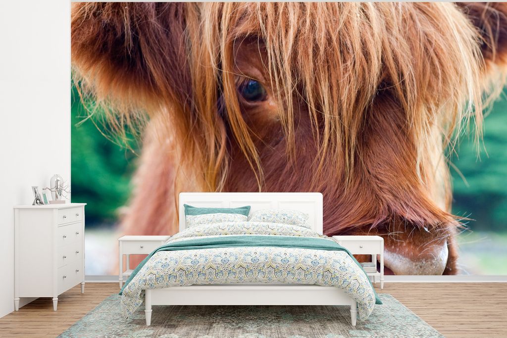 MuchoWow Fototapete für Wohnzimmer oder Schlafzimmer Wandtapete Vinyl Motivtapete Schottischer Highlander - Braun - Kalb - 350x260 cm - Wohnzimm...