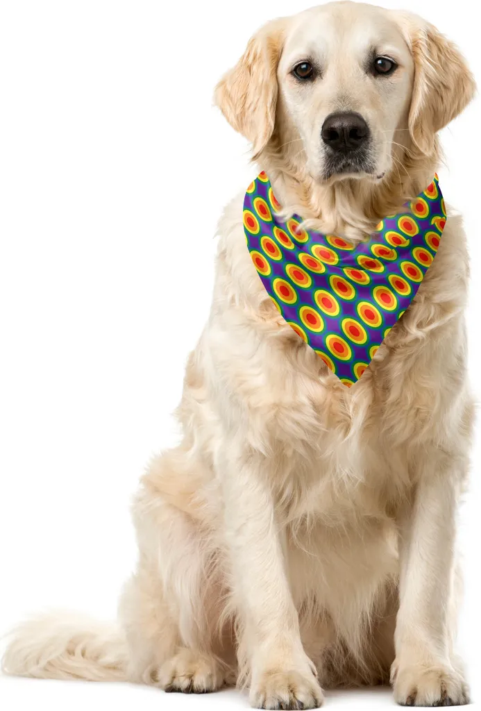 Foulard Cane ABAKUHAUS Rainbow Circles 55x55 - Alta Definizione