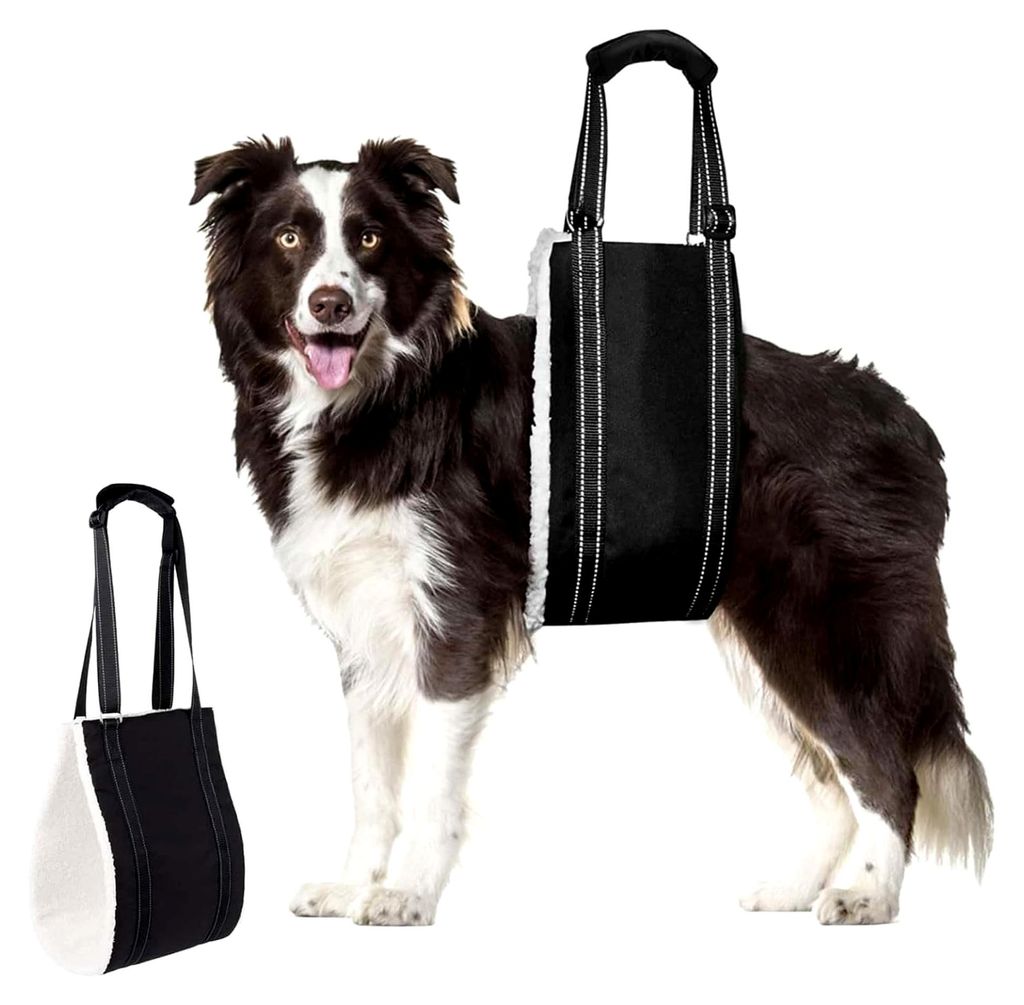 Hunde Tragehilfe, Einstellbare Unterstützung für Behinderte und Ältere Hunde, geeignet für Kleine, Mittlere und Große Hunde (L)