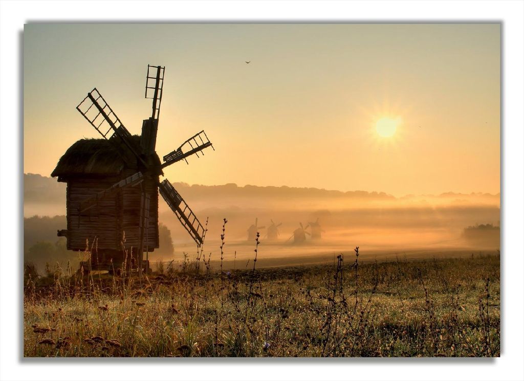 Wallario selbstklebendes Poster - Morgendämmerung am Mühlenfeld, Größe: 70 x 100 cm