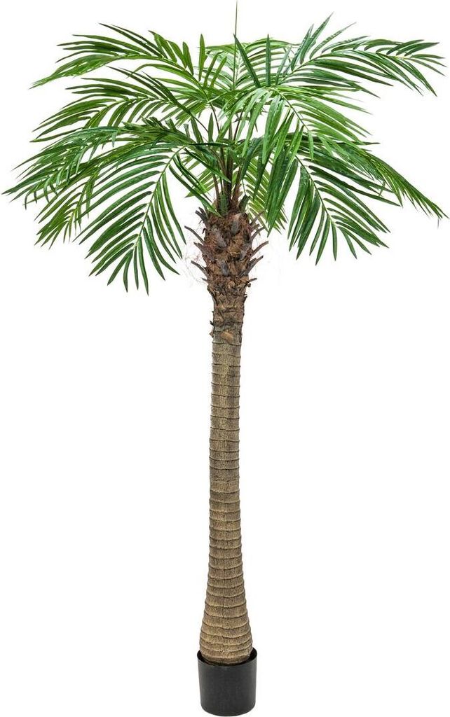 EUROPALMS Palma Phoenix luxor, pianta artificiale, 300cm Immagine del prodotto 