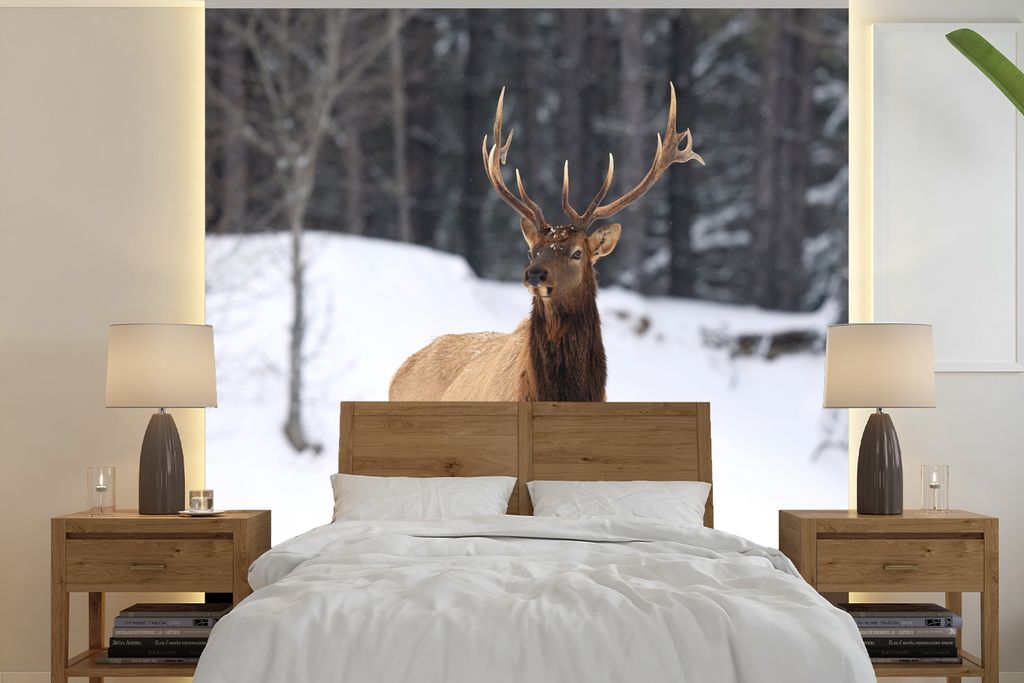 MuchoWow Fototapete für Wohnzimmer oder Schlafzimmer Wandtapete Vinyl Motivtapete Rotwild - Schnee - Winter - 240x240 cm - Schlafzimmer-Tapete