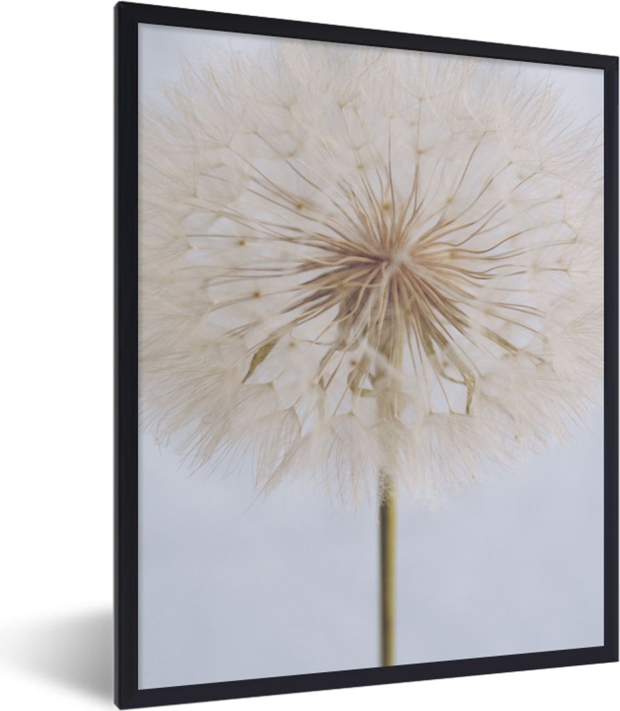 MuchoWow Gerahmtes Poster Blumen - Löwenzahn - Entwurf 30x40 cm - Poster mit Schwarzem Bilderrahmen Wandposter Rahmen Foto Bilder - Wanddeko - K...