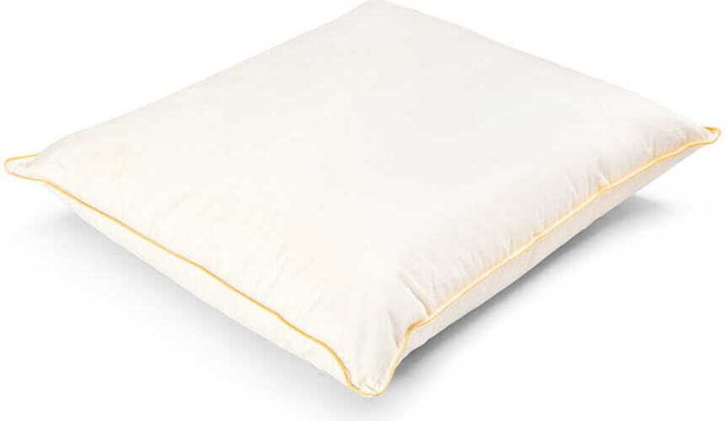 Natürliche Kissen Kopfkissen 80% Daunen 1500g 80x80 - Beige