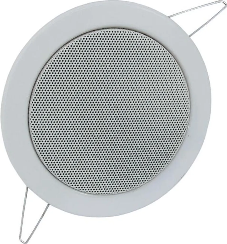 Specifiche Omnitronic 80710208 Argento - Altoparlante PA 2-Vie 6W