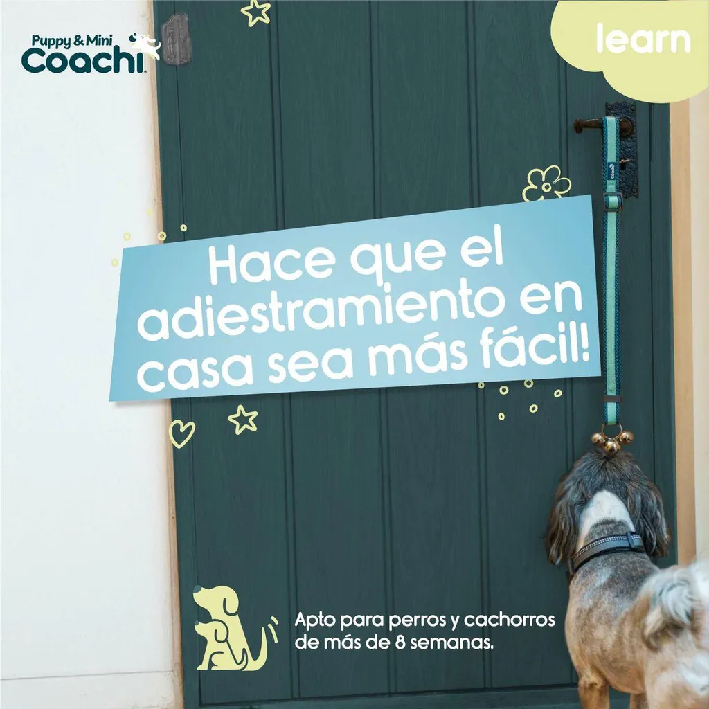 Recensione Pettorina Coachi: Proteggi il Tuo Cane in Passeggiata