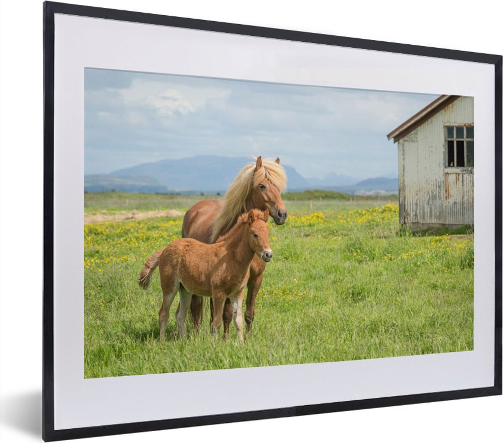 MuchoWow MuchoWow Gerahmtes Poster Pferde - Fohlen - Gebirge 40x30 cm - Poster mit zchwarzem Bilderrahmen - Bilderrahmen - Poster im Rahmen