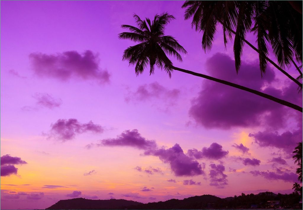Wallario Fototapete Vliestapete, seidenmatte Oberfläche, einfache Verarbeitung, Größe 200 x 140 cm, Motiv Sonnenuntergang unter Palmen Himmel in...