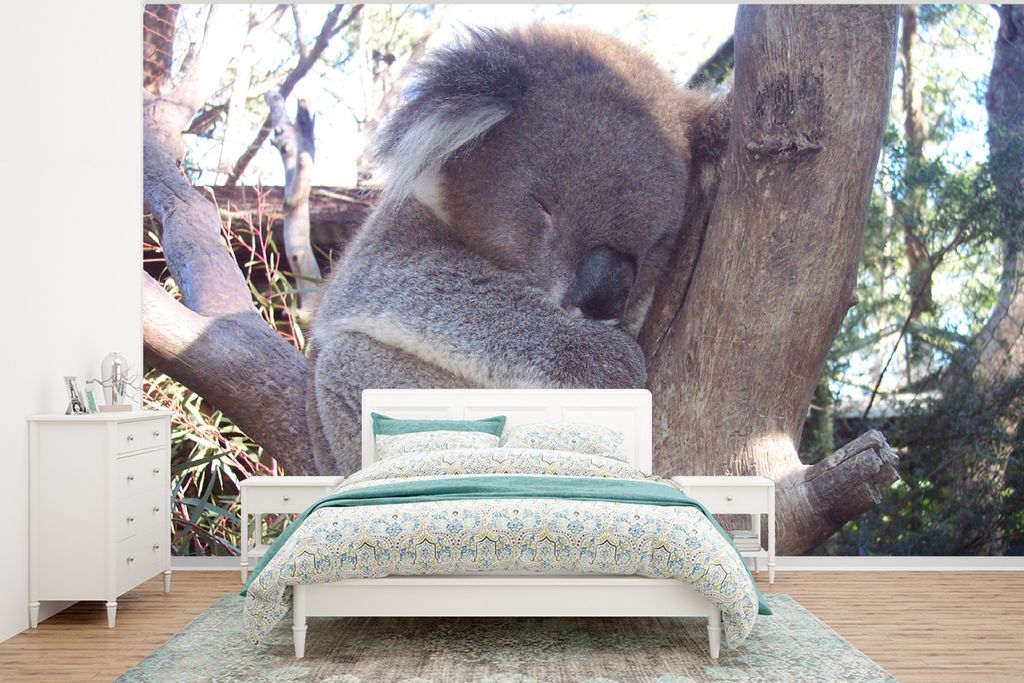 MuchoWow Fototapete für Wohnzimmer oder Schlafzimmer Wandtapete Vinyl Motivtapete Koala - Baum - Grau - 400x300 cm - Papiertapeten