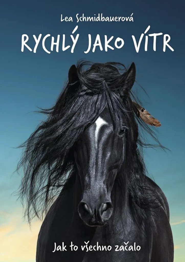 Jak to všechno začalo de Lea Schmidbauer : récit captivant et original