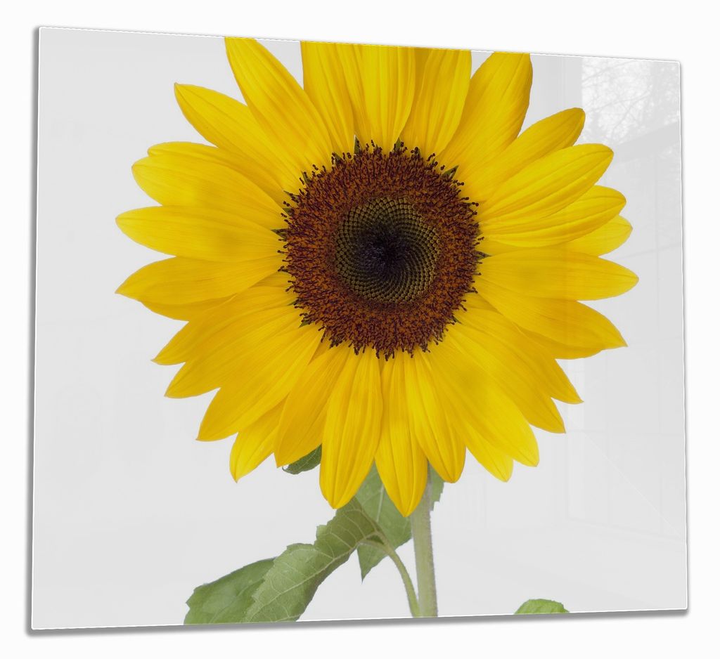 Wallario Herdabdeckplatte aus Glas, Größe 60 x 52 cm Produktbild 