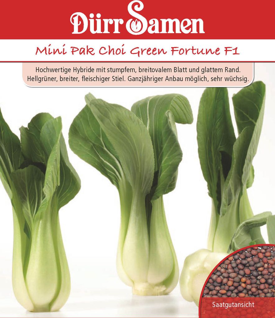 Mini Pak Choi Green Fortune F1 | Pak Choisamen von Dürr Produktbild 