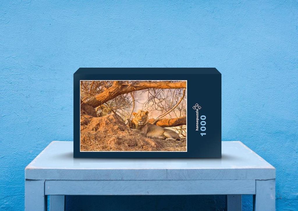 hansepuzzle 82478 - Löwe Puzzle, 1000 Teile, Tierwelt, 60,0 x 46,0cm mit hochwertiger Aufbewahrung, Kartonbox und wiederverschließbarem Beutel