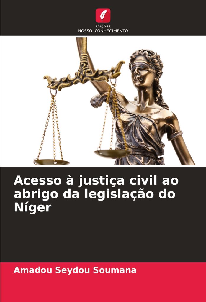 Acesso à justiça civil ao abrigo da legislação do Níger