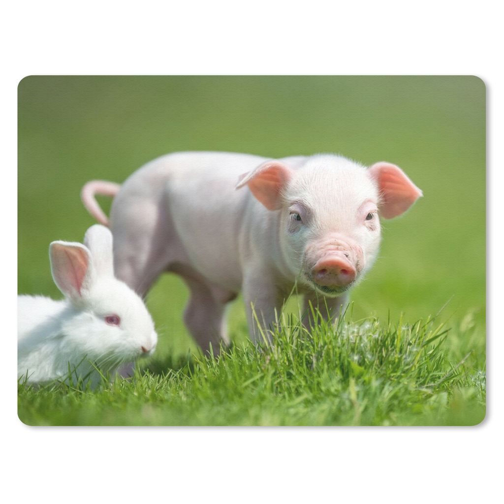 MuchoWow Mauspad Mousepad Ferkel - Kaninchen - Tiere 40x30 cm - Mousepads - Maus Mat - Pad - Mausunterlage - Anti Rutsch