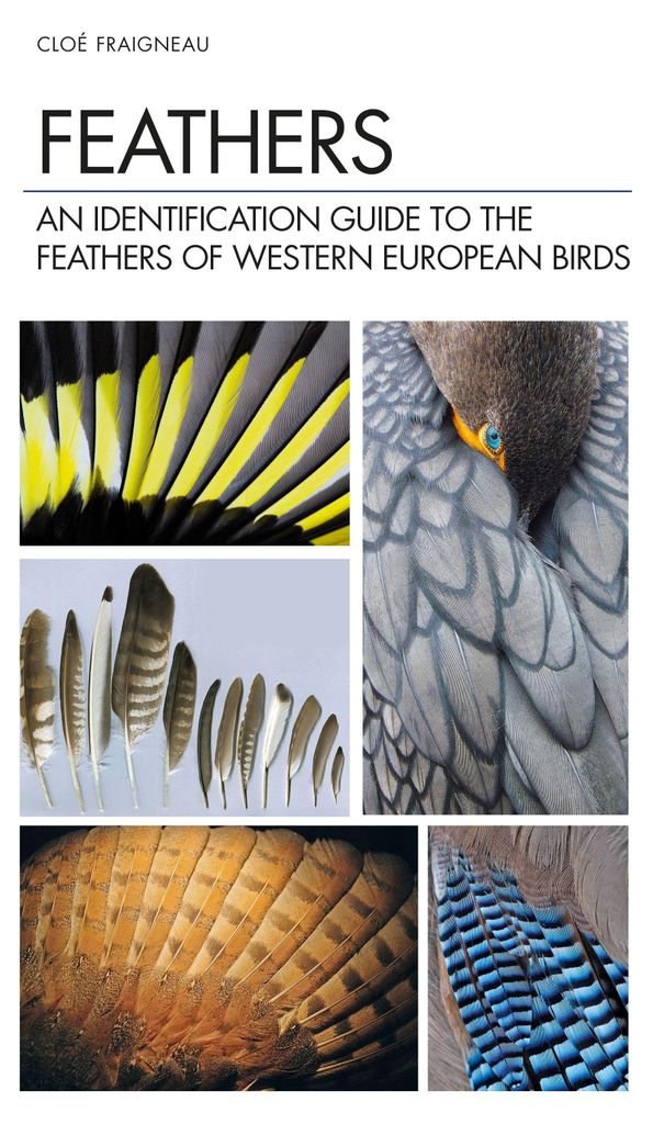 Feathers Produktbild 